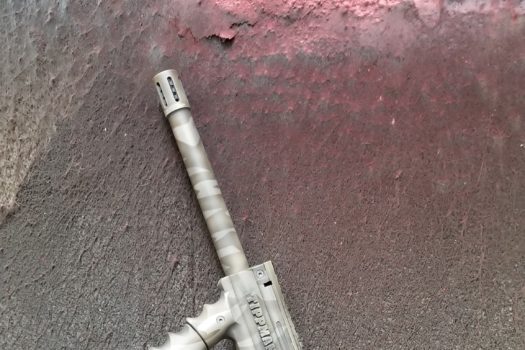 riptile on paintgun